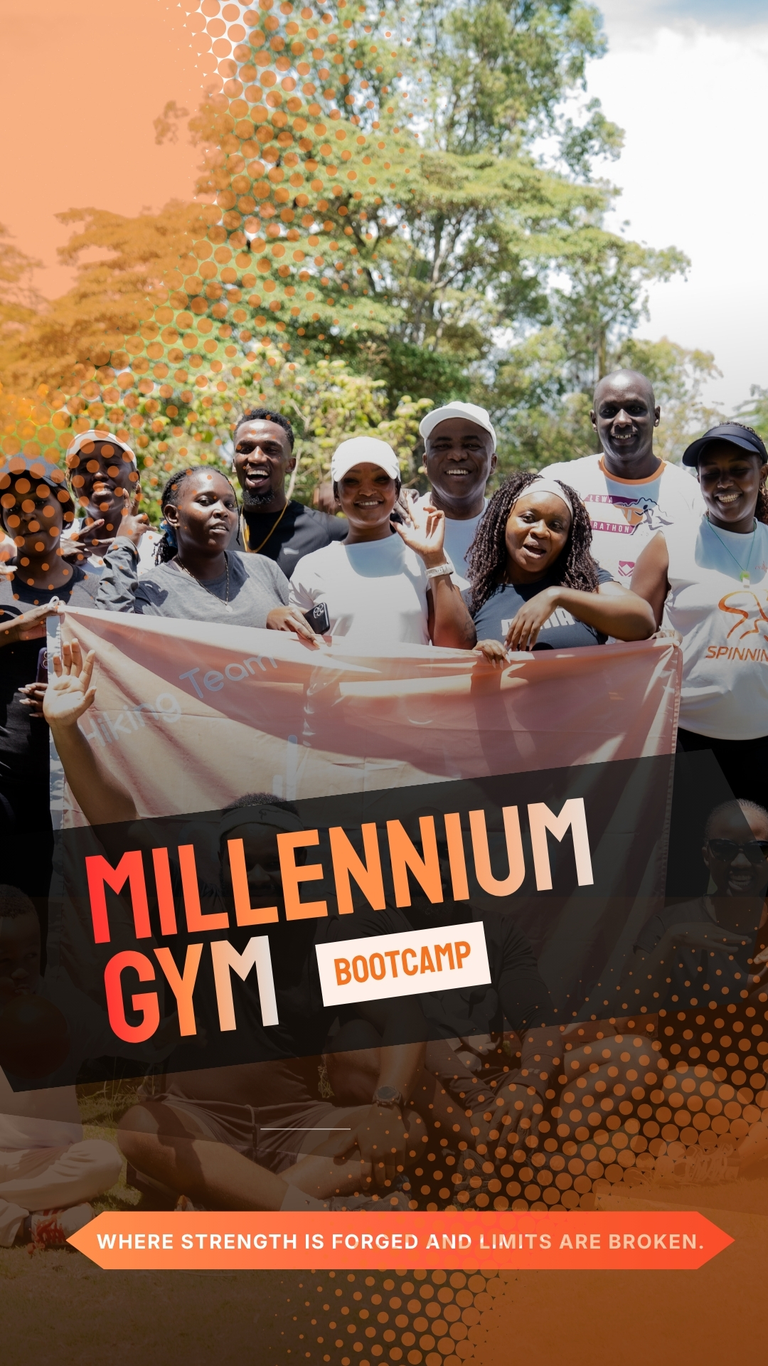 Millenium Gym project cover